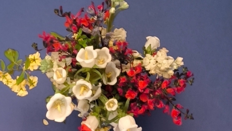 Les Jardins enchantés